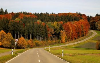 旅遊保險：守護您的旅行安全與安心
