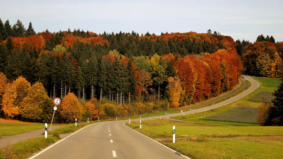 旅遊保險:守護您的旅行安全與安心
