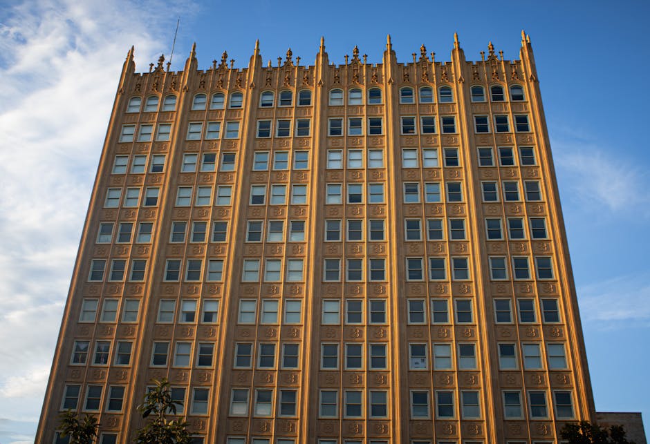 動物醫院經營策略分析