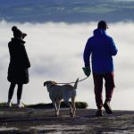 年金攻略：專業解析及申請步驟詳解