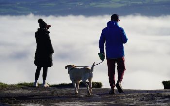 年金攻略：專業解析及申請步驟詳解