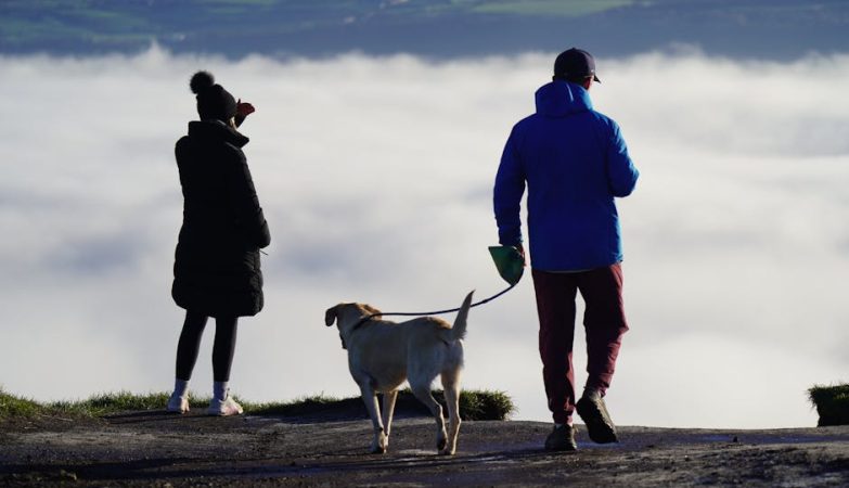 年金攻略：專業解析及申請步驟詳解