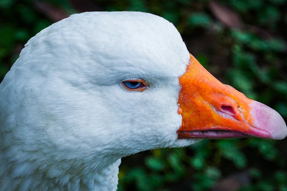 脫毛方法與注意事項：全面教學指南
