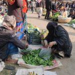 外匯投資：開啟財富增值之門