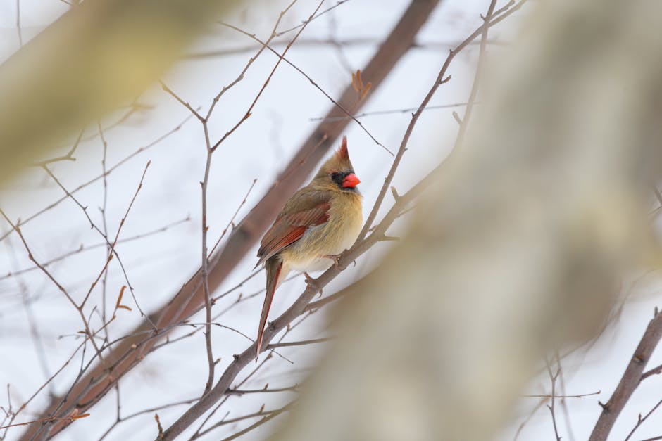 胸部檢查：輕鬆幽默揭開健康小秘密