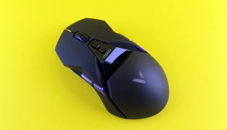 滅鼠：輕鬆掌握有效滅鼠技巧的教學指南